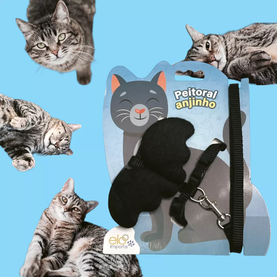 Imagem do Produto